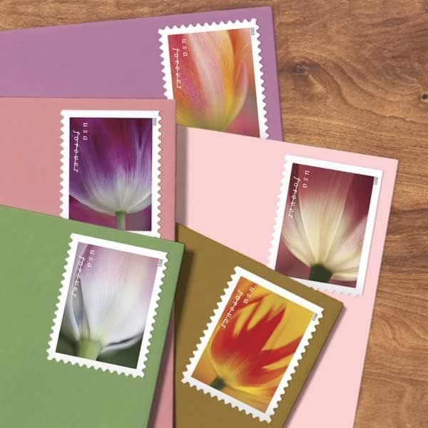 100pcsBeauty Tulip USWeddingCelebrationfor Party invatationsGreeting Card5books