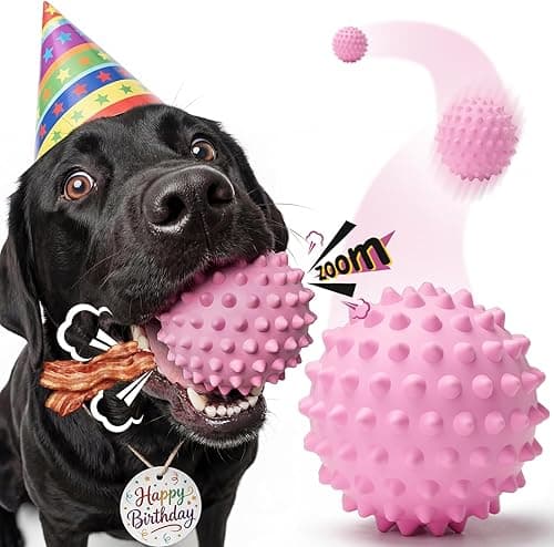 Apasiri Interactive Squeaky Balls for Dogs: 3.5-Inch Bacon-Flavored Spiky Dog Balls for Aggressive Chewers, Large Durable Rubber Floating Dog Toys for Large/Medium Dogs, Pink-Party Dog Gifts Birthday