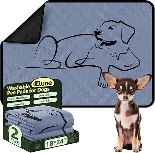 2 Pack Washable Pee Pads for Dogs 18"x24", Reusable Training Puppypads Absorbency Non-Slip & Leak-Proof for Pet Whelping Box Playpen Crate Sofa Bed Floors (Gray)
